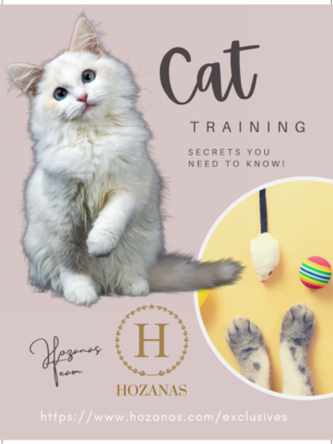 Cat Training Secrets You Need to Know (Flipbook + Downloadable E-Book)