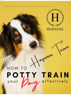 How to Potty Train Your Dog Effectively (Downloadable E-Book)